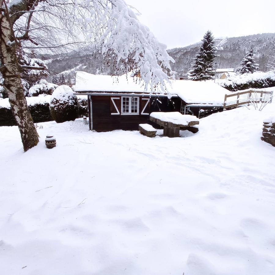 Chalet Des Cascades เลอมงต์-ดอร์ ภายนอก รูปภาพ